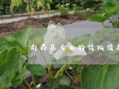 南昌县专业的债权债务清理律师 南昌县专业的债权债务清理律师