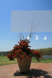 南昌县免费法律咨询