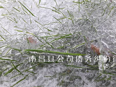 南昌县公司债务纠纷律师电话 南昌县公司债务纠纷律师电话