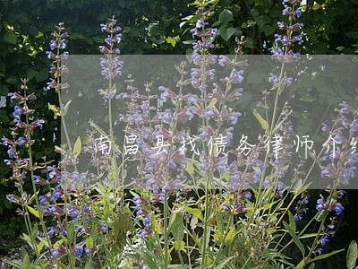 南昌县找债务律师介绍 南昌县找债务律师介绍