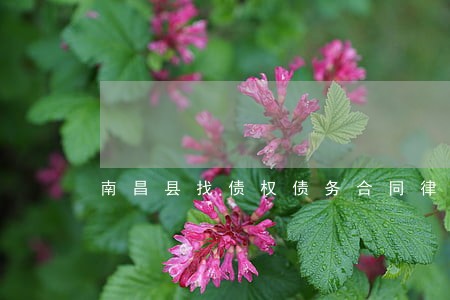南昌县找债权债务合同律师多少钱 南昌县找债权债务合同律师多少钱
