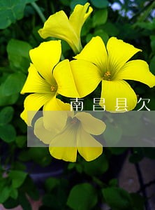 南昌县欠款案子律师 南昌县欠款案子律师