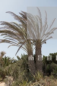 南昌县民事债务纠纷律师哪个好 南昌县民事债务纠纷律师哪个好