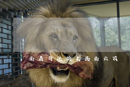 南昌司法拍卖尚南云顶 南昌司法拍卖尚南云顶