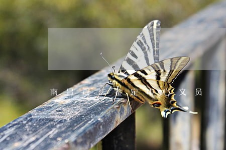 南昌司法鉴定中心文员