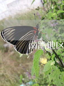 南昌地区专业建筑工程律师