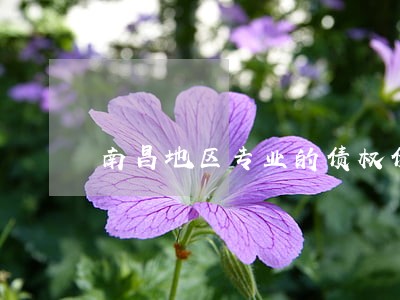 南昌地区专业的债权债务律师介绍 南昌地区专业的债权债务律师介绍
