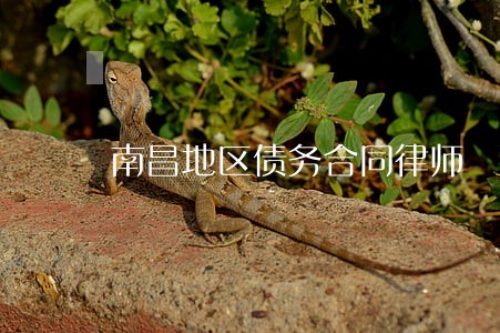 南昌地区债务合同律师 南昌地区债务合同律师