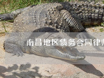 南昌地区债务合同律师服务 南昌地区债务合同律师服务