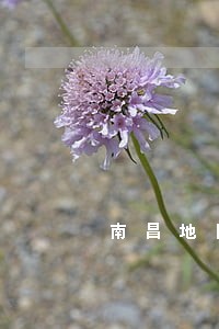 南昌地区债务纠纷律师多少钱 南昌地区债务纠纷律师多少钱