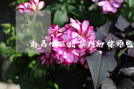 南昌地区债务纠纷律师电话咨询 南昌地区债务纠纷律师电话咨询
