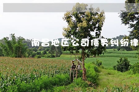 南昌地区公司债务纠纷律师电话 南昌地区公司债务纠纷律师电话