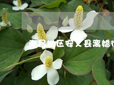 南昌地区安义县离婚律师 南昌地区安义县离婚律师