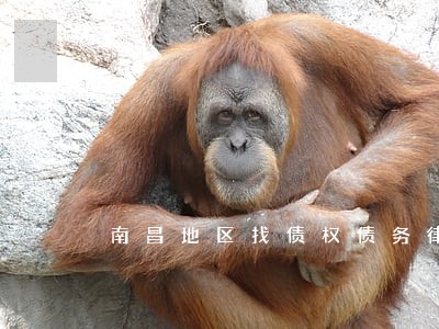 南昌地区找债权债务律师收费标准 南昌地区找债权债务律师收费标准