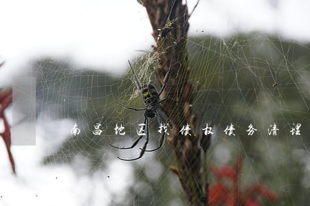 南昌地区找债权债务清理律师 南昌地区找债权债务清理律师