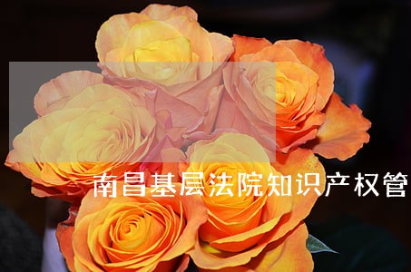 南昌基层法院知识产权管辖