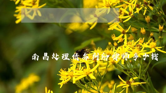 南昌处理债务纠纷律师多少钱 南昌处理债务纠纷律师多少钱