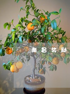 南昌奖励市民拍摄交通违法行为