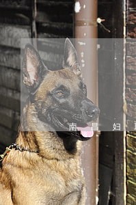 南昌妇联法律援助电话 南昌妇联法律援助电话