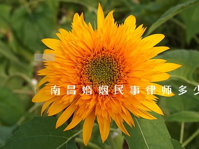 南昌婚姻民事律师多少钱 南昌婚姻民事律师多少钱