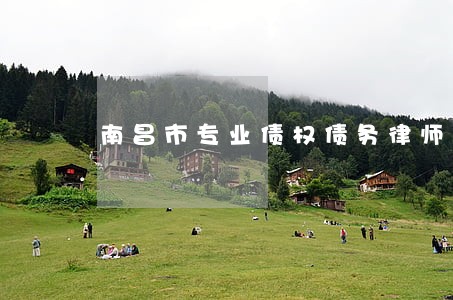 南昌市专业债权债务律师 南昌市专业债权债务律师