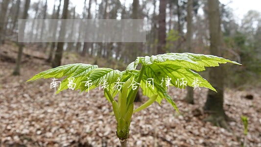 南昌市债务合同律师费 南昌市债务合同律师费