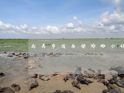 南昌市债务律师哪个好精益求精 南昌市债务律师哪个好精益求精