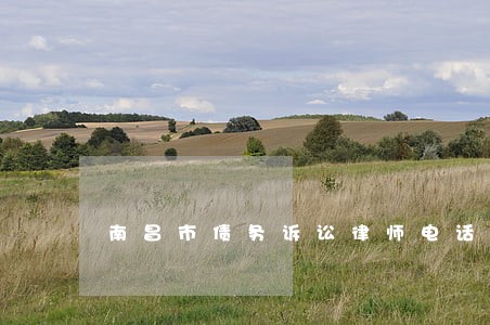 南昌市债务诉讼律师电话咨询 南昌市债务诉讼律师电话咨询