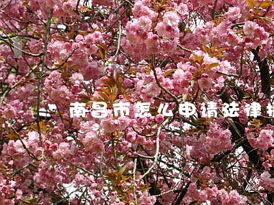 南昌市怎么申请法律援助 南昌市怎么申请法律援助