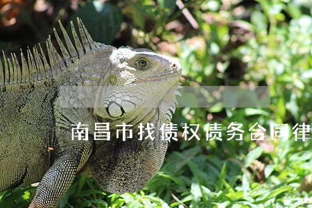 南昌市找债权债务合同律师 南昌市找债权债务合同律师