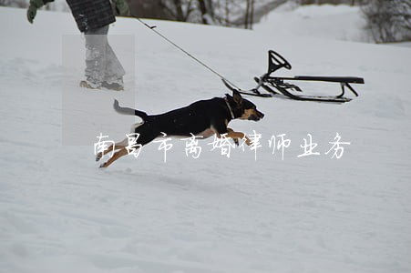 南昌市离婚律师业务 南昌市离婚律师业务