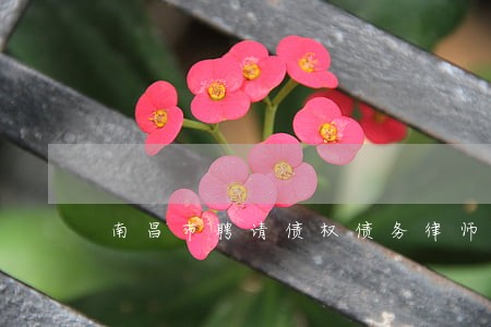 南昌市聘请债权债务律师联系方式 南昌市聘请债权债务律师联系方式