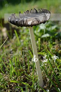 南昌市聘请债权债务清理律师电话 南昌市聘请债权债务清理律师电话