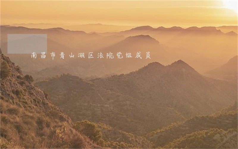 南昌市青山湖区法院党组成员 南昌市青山湖区法院党组成员