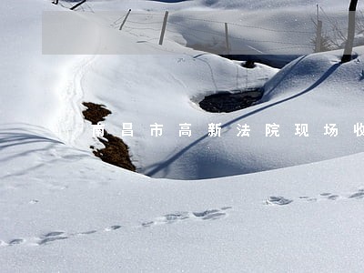 南昌市高新法院现场收费的嘛