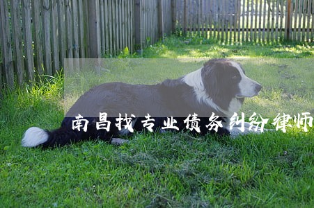 南昌找专业债务纠纷律师怎么找