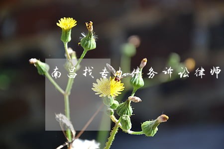 南昌找专办债务诉讼律师收费标准 南昌找专办债务诉讼律师收费标准