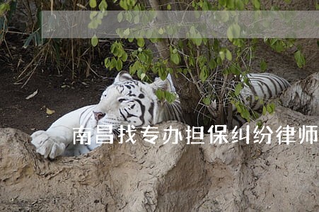 南昌找专办担保纠纷律师怎么委托 南昌找专办担保纠纷律师怎么委托