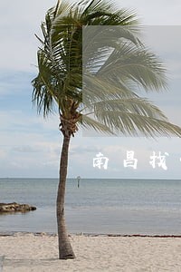 南昌找债务律师费用 南昌找债务律师费用