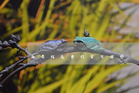 南昌找免费打官司律师 南昌找免费打官司律师