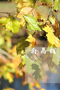 南昌找民事债务纠纷律师收费标准 南昌找民事债务纠纷律师收费标准