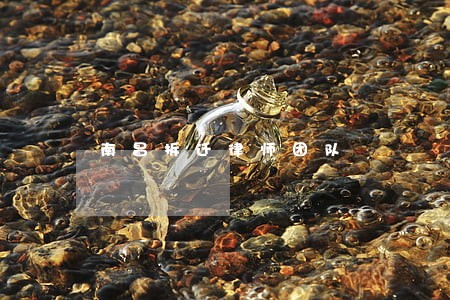 南昌拆迁律师团队 南昌拆迁律师团队