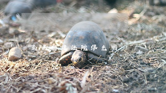 南昌新建法院缪光明 南昌新建法院缪光明