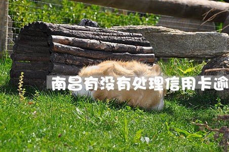 南昌有没有处理信用卡逾期