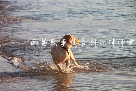 南昌民事债务纠纷律师哪个好 南昌民事债务纠纷律师哪个好
