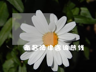 南昌法律咨询热线 南昌法律咨询热线