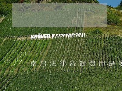 南昌法律咨询费用是多少 南昌法律咨询费用是多少