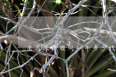 南昌法律顾问一年多少钱 南昌法律顾问一年多少钱