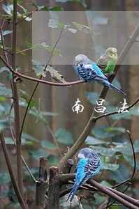 南昌法院侯华力 南昌法院侯华力