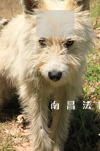南昌法院张萍 南昌法院张萍